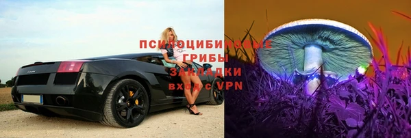 ALPHA PVP Верхний Тагил