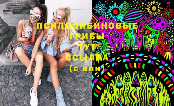 спайс Верея