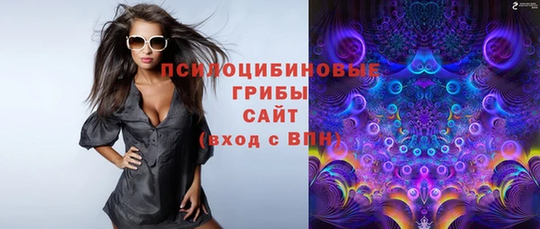 спайс Верея